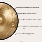 Handpan Goldring  9/10/12 Noten - D-Kurd