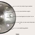 Handpan Rank  9/10/12 Noten - D-Kurd